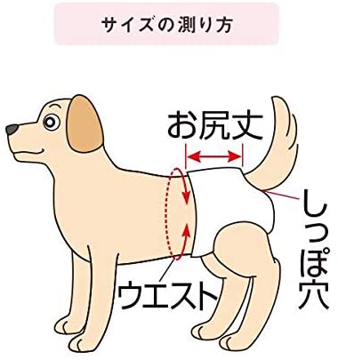 うんぽパンツ